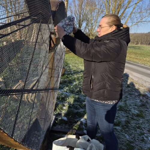 2026-01-19_röhlig,dorota